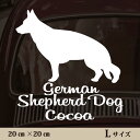 【 ギフトに 】 車 ステッカー 【 グレートスイスマウンテンドッグ 】【LLサイズ】 かわいい シンプル カーステッカー カッティングシート グッズ プレゼント おしゃれ オーダーメイド 名前 シール 可愛い 転写式 犬