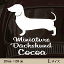 車 ステッカー 【 ミニチュアダックスフンド スムース 】L ペット カー ペットステッカー かわいい シンプル カッティングシート グッズ 屋外 おしゃれ オ...