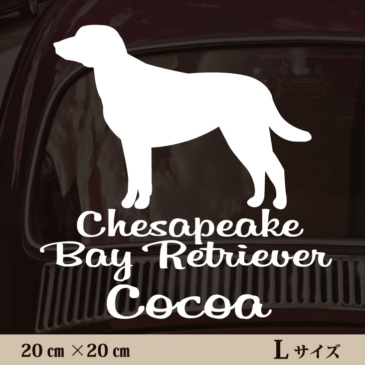 �� ���ƥå��� �� �������ԡ����٥���ȥ꡼�С� ��L �ڥå� ���� �ڥåȥ��ƥå��� ���襤�� ����ץ� ���åƥ��󥰥����� ���å� ����...