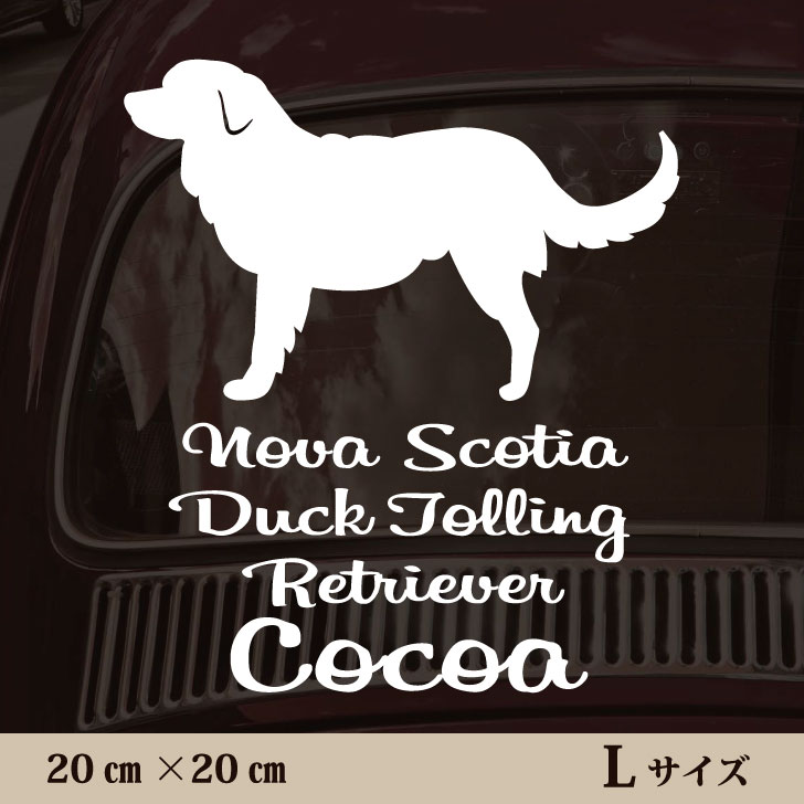 車 ステッカー 【 ノヴァスコシアダックトーリングレトリーバー 】L ペット カー ペットステッカー かわいい シンプル カッティングシート グッズ 屋外 おしゃれ オーダー 名前 シール 可愛い 転写式 犬