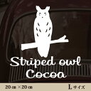 【 マラソン中 P5倍 】車 ステッカー 【 ウサギフクロウ 】L ペット カー ペットステッカー かわいい シンプル カッティングシート グッズ 屋外 おしゃれ オーダー 名前 シール 可愛い 転写式 フクロウ