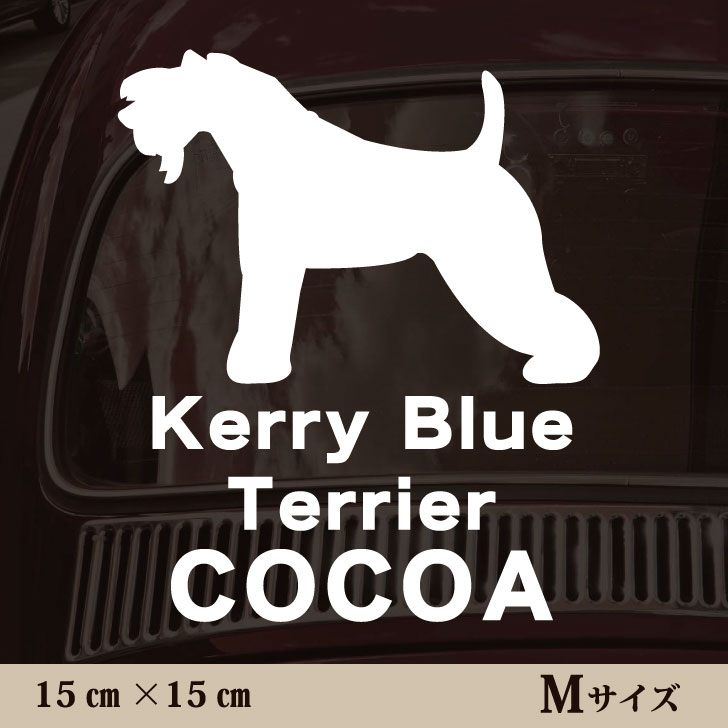 �� ���ƥå��� �� ���꡼�֥롼�ƥꥢ ��M������ �ڥå� ���� �ڥåȥ��ƥå��� ���襤�� ����ץ� ���åƥ��󥰥����� ���å� ���� ������� �������� ̾...