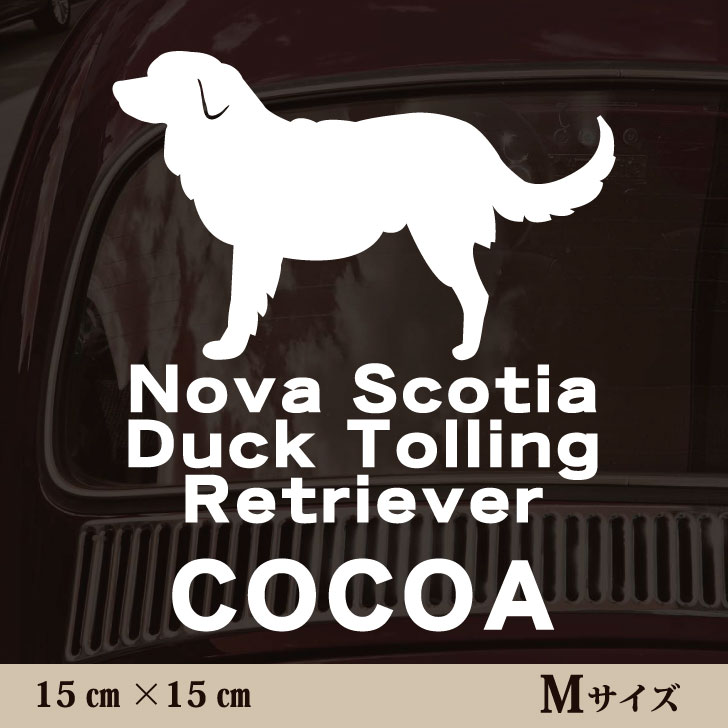 �� ���ƥå��� �� �Υ��������������å��ȡ���󥰥�ȥ꡼�С� ��M������ �ڥå� ���� �ڥåȥ��ƥå��� ���襤�� ����ץ� ���åƥ��󥰥����� ���å� ����...