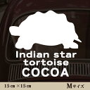 【マラソン中 P5倍】 車 ステッカー 【 インドホシガメ 】Mサイズ ペット カー ペットステッカー かわいい シンプル カッティングシート グッズ 屋外 おしゃれ オーダー 名前 シール 可愛い 転写式 カメ