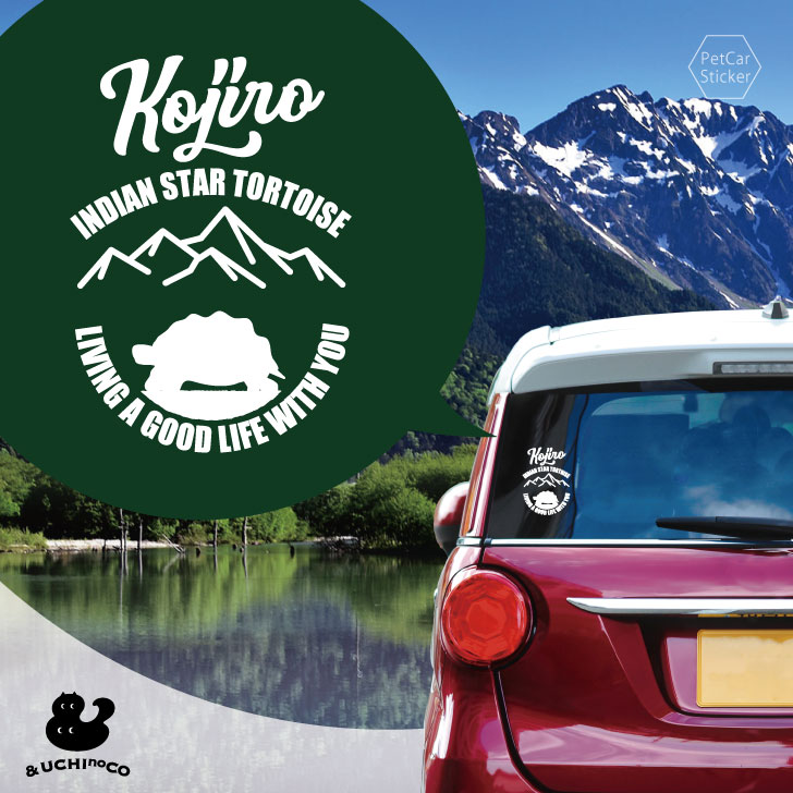 【 BLACK FRIDAY中 P5倍 】 デザイン カーステッカー 【 インドホシガメ 】 車 ステッカー シール ペット プレゼント 記念 贈り物 カッティ...