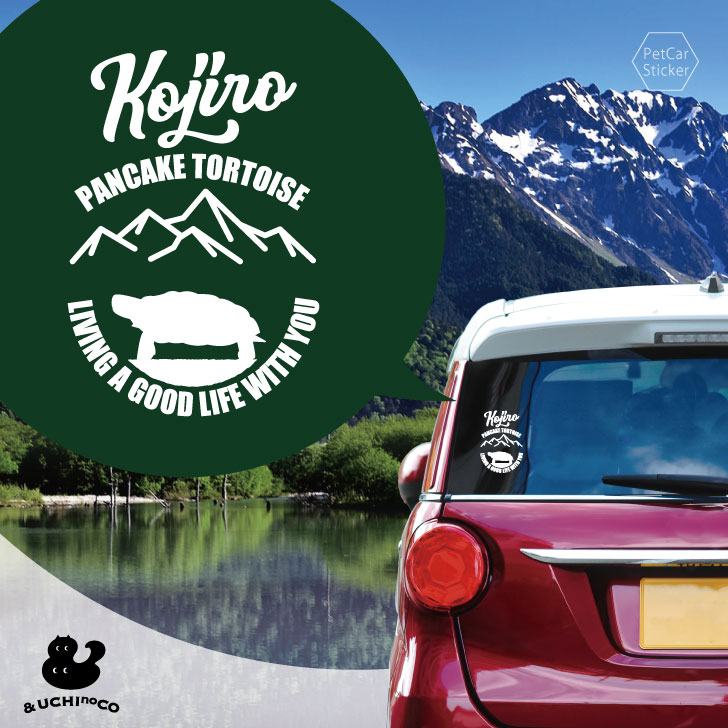 【 BLACK FRIDAY中 P5倍 】 デザイン カーステッカー 【 パンケーキリクガメ 】 車 ステッカー シール ペット プレゼント 記念 贈り物 カッ...