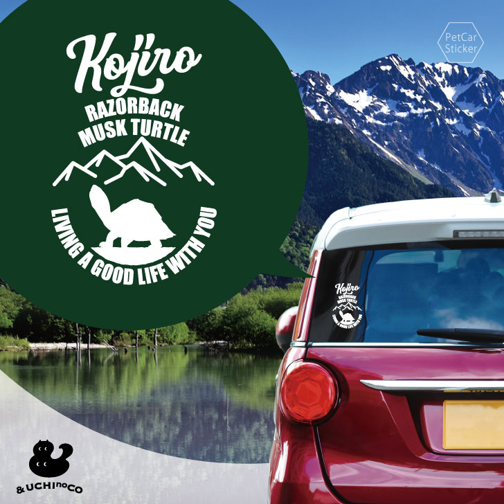【 BLACK FRIDAY中 P5倍 】 デザイン カーステッカー 【 カブトニオイガメ 】 車 ステッカー シール ペット プレゼント 記念 贈り物 カッテ...