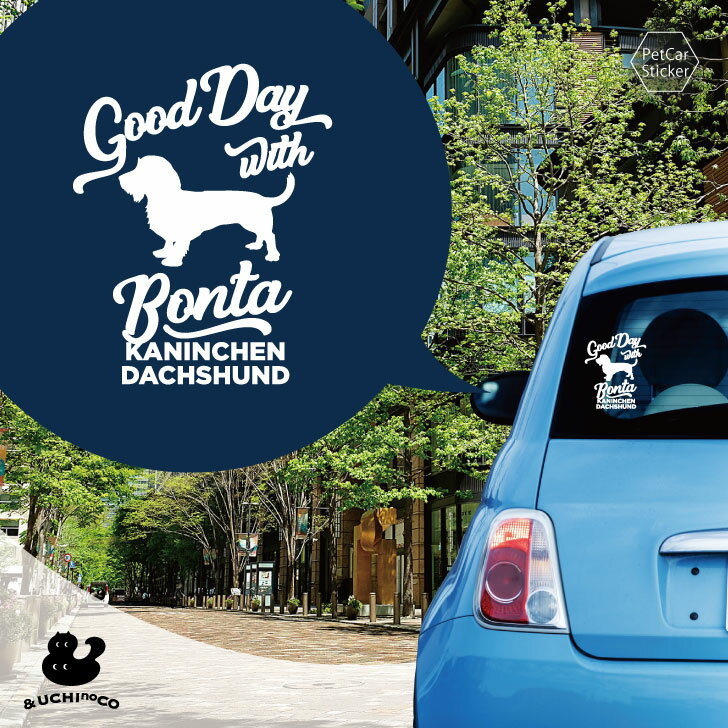 �ǥ����� �������ƥå��� �� ���˥�إ󡦥��å����ե�ɡʥ磻�䡼�� �� �� ���ƥå��� ������ �ڥå� �ץ쥼��� ��ǰ £��ʪ ���åƥ��󥰥����� ��������...