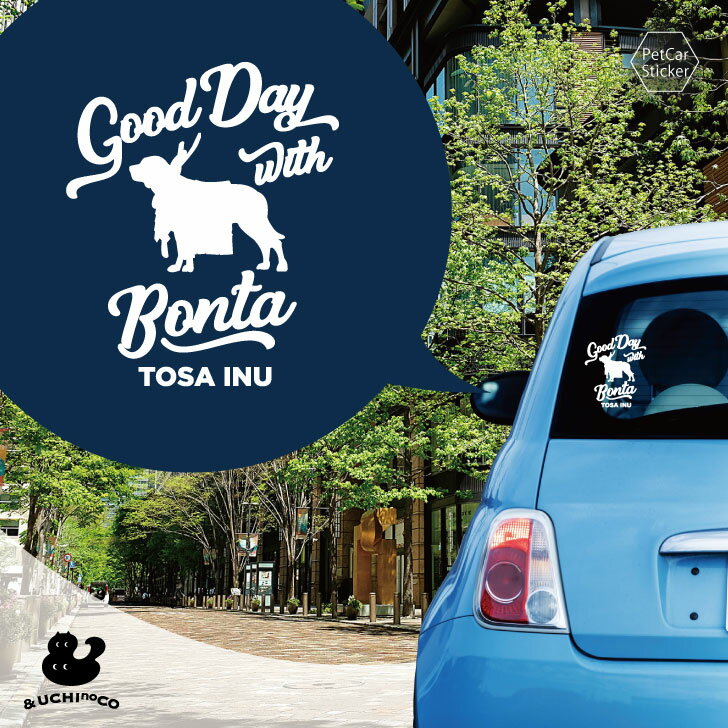 �ǥ����� �������ƥå��� �� �ں��� �� �� ���ƥå��� ������ �ڥå� �ץ쥼��� ��ǰ £��ʪ ���åƥ��󥰥����� ���������ᥤ�� �ꥢ ���饹 ���ä�����...