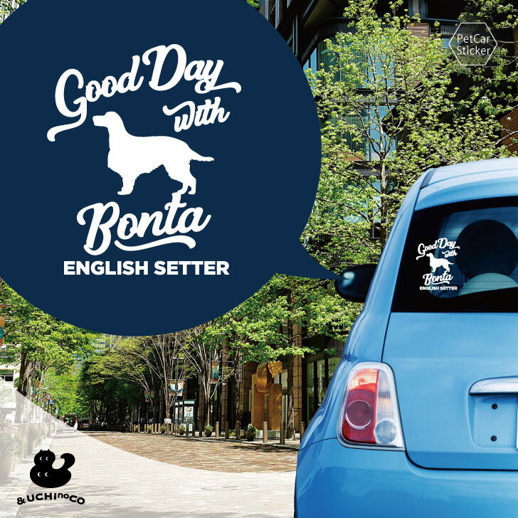 �ǥ����� �������ƥå��� �� ���󥰥�å��塦������ �� �� ���ƥå��� ������ �ڥå� �ץ쥼��� ��ǰ £��ʪ ���åƥ��󥰥����� ���������ᥤ�� �ꥢ ��...