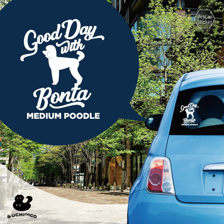 �ǥ����� �������ƥå��� �� �ߥǥ����ࡦ�ס��ɥ� �� �� ���ƥå��� ������ �ڥå� �ץ쥼��� ��ǰ £��ʪ ���åƥ��󥰥����� ���������ᥤ�� �ꥢ ����...