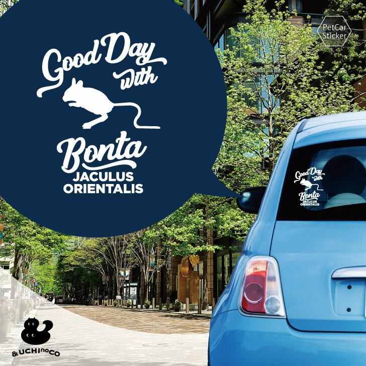 �ǥ����� �������ƥå��� �� �����ߥ�ӥȥӥͥ��� �� �� ���ƥå��� ������ �ڥå� �ץ쥼��� ��ǰ £��ʪ ���åƥ��󥰥����� ���������ᥤ�� �ꥢ ����...