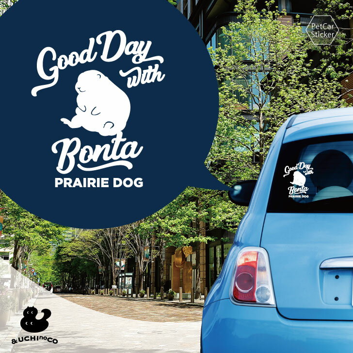 �ǥ����� �������ƥå��� �� �ץ졼�꡼�ɥå�2 �� �� ���ƥå��� ������ �ڥå� �ץ쥼��� ��ǰ £��ʪ ���åƥ��󥰥����� ���������ᥤ�� �ꥢ ���饹...