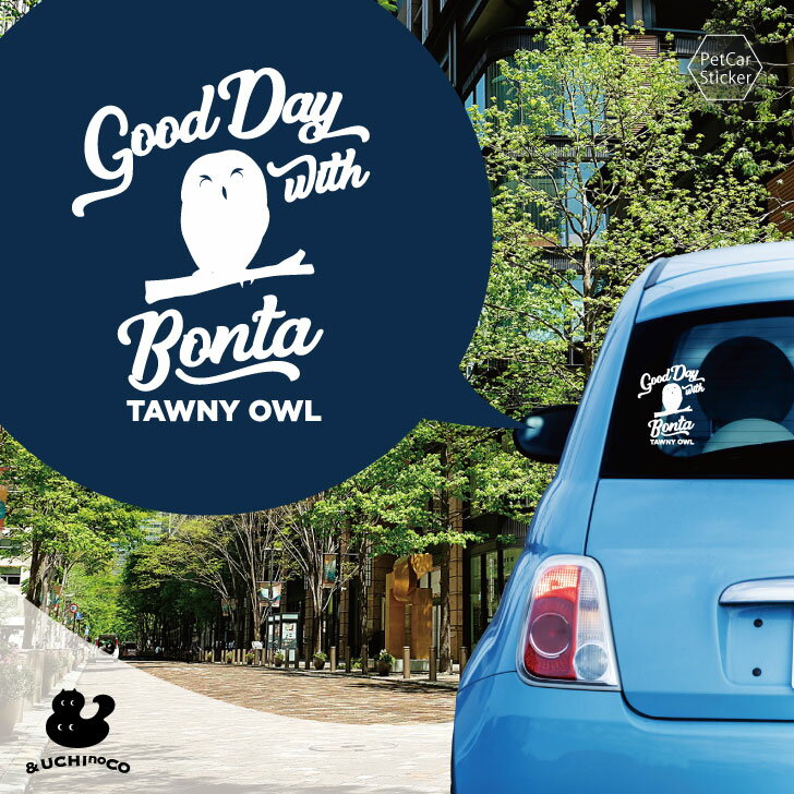 デザイン カーステッカー 【 モリフクロウ 】 車 ステッカー シール ペット プレゼント 記念 贈り物 カッティングシート オーダーメイド リア ガラス おしゃれ かっこいい シンプル かわいい フクロウ 梟 鷹 オリジナル