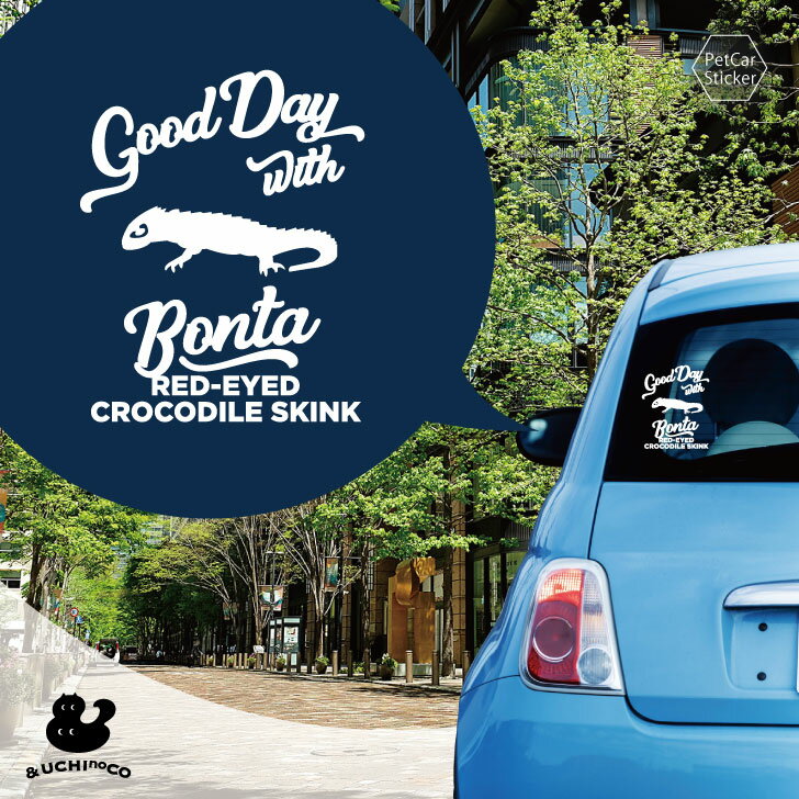 【 BLACK FRIDAY中 P5倍 】 デザイン カーステッカー 【 アカメカブトトカゲ 】 車 ステッカー シール ペット プレゼント 記念 贈り物 カッ...