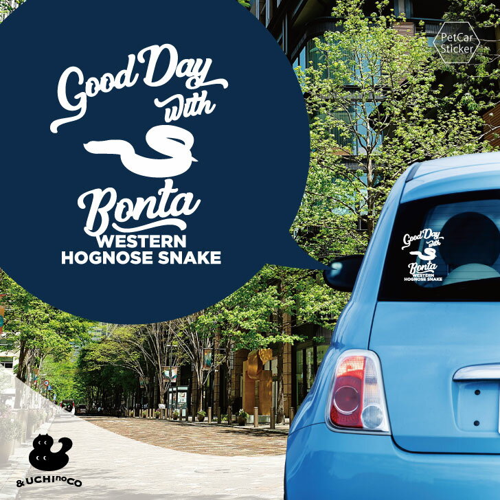 【 BLACK FRIDAY中 P5倍 】 デザイン カーステッカー 【 セイブシシハナヘビ 】 車 ステッカー シール ペット プレゼント 記念 贈り物 カッ...