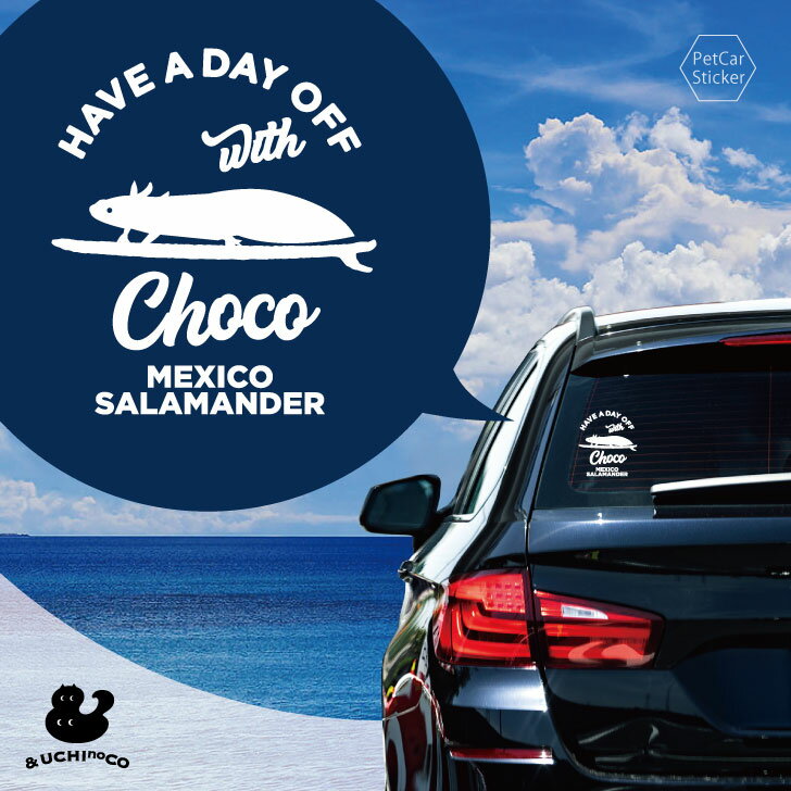 【 BLACK FRIDAY中 P5倍 】 デザイン カーステッカー 【 ウーパールーパー 】 車 ステッカー シール ペット プレゼント 記念 贈り物 カッテ...