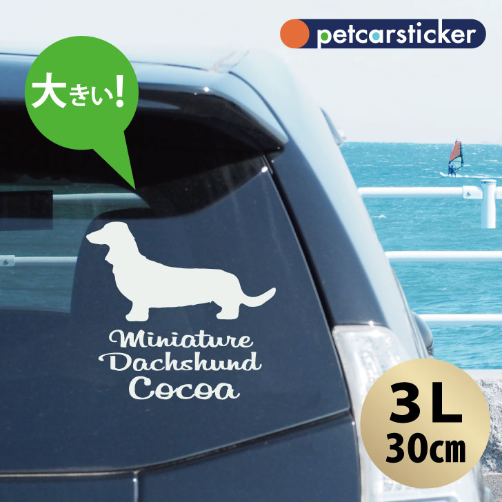 ڥޥ饽 P5ܡ  ƥå  ߥ˥奢åե ۡ3L 襤 ץ ƥå åƥ󥰥 ...