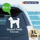 車 ステッカー 【 スタンダードプードル テディベアカット 】【3L】 かわいい シンプル カーステッカー カッティングシート グッズ プレゼント おしゃれ オーダーメイド 名前 シール 可愛い 転写式 犬