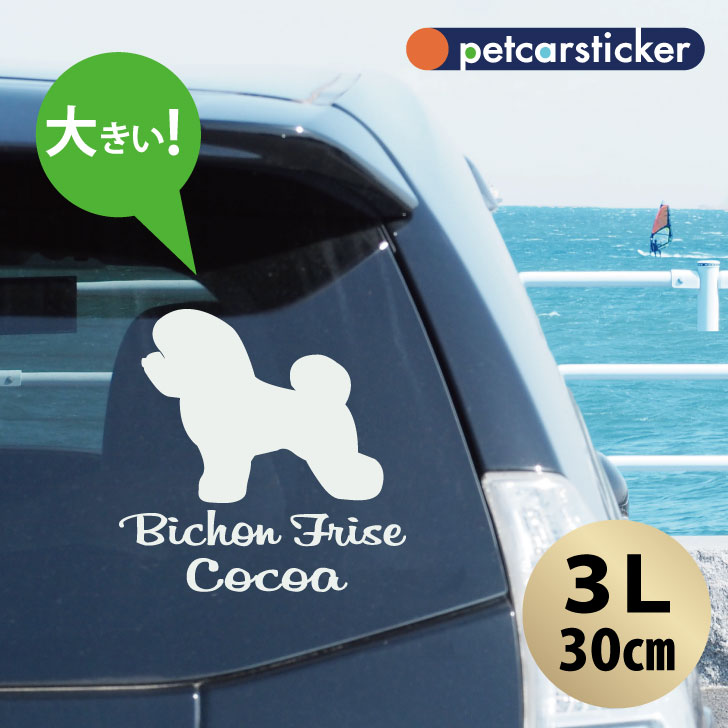 ڥޥ饽 P5ܡ  ƥå  ӥե꡼ ۡ3L 襤 ץ ƥå åƥ󥰥 å ...