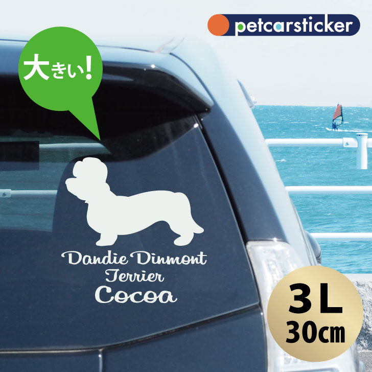 ڥޥ饽 P5ܡ  ƥå  ǥǥȥƥꥢ ۡ3L 襤 ץ ƥå åƥ󥰥 ...