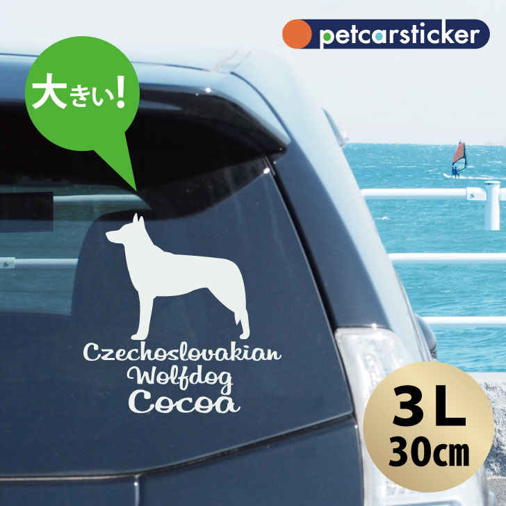 ڥޥ饽 P5ܡ  ƥå  Х󥦥եɥå ۡ3L 襤 ץ ƥå åƥ󥰥...