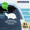 【マラソン中 P5倍】 車 ステッカー 【 ミシシッピニオイガメ 】【3L】 かわいい シンプル カーステッカー カッティングシート グッズ プレゼント おしゃれ オーダーメイド 名前 シール 可愛い 転写式 カメ