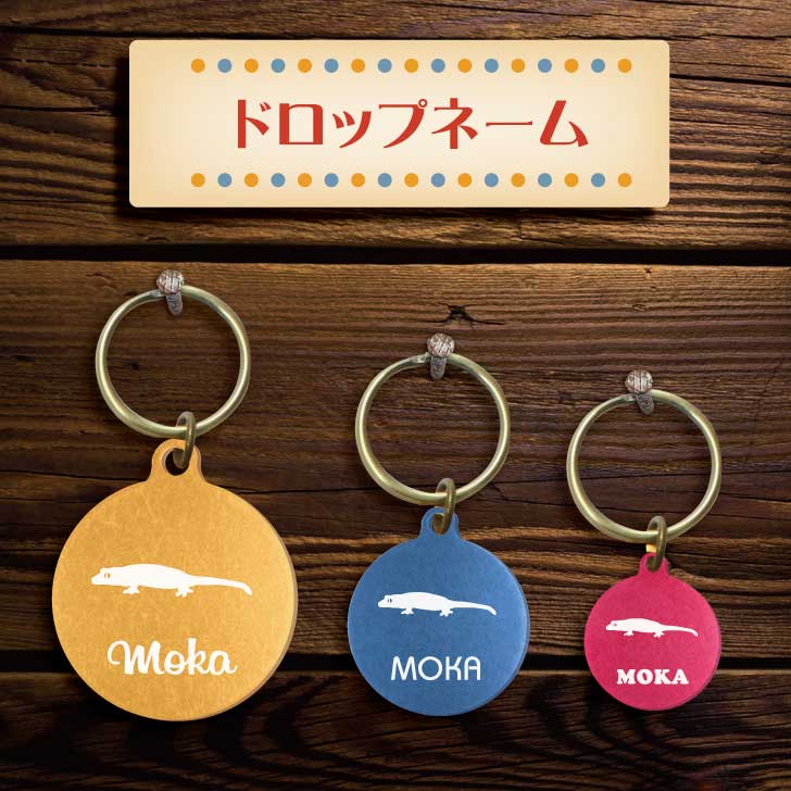 【 BLACK FRIDAY中 P5倍 】 迷子札 【 クレステッドゲッコー 】 ドロップネーム 名入れ グッズ ペット 名札 軽量 極小 軽い ネームタグ か...