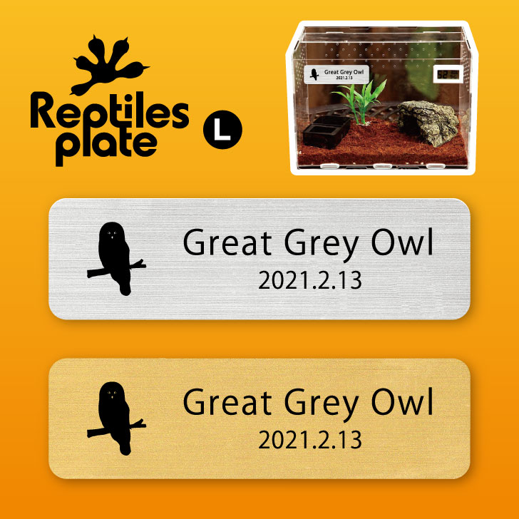レプタイルズ プレート L 【 カラフトフクロウ 】ケージ 水槽 レプタイルボックス 虫かご用 銘板 名札 ネームプレート パルダリウム テラリウム アクアリウム フクロウ