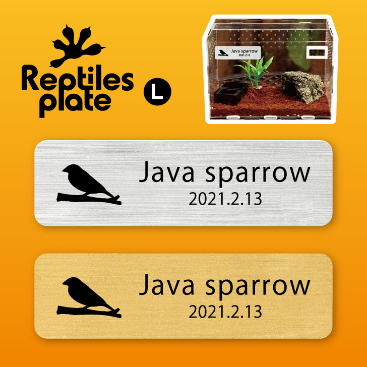 レプタイルズ プレート L 【 文鳥 】ケージ 水槽 レプタイルボックス 虫かご用 銘板 名札 ネームプレート パルダリウム テラリウム アクアリウム 鳥