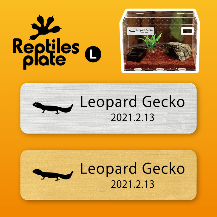 �� �ޥ饽���� P5�� �� ��ץ����륺 �ץ졼�� L �� �쥪�ѡ��ɥ��å��� �ۥ����� ���� ��ץ�����ܥå��� ����� ���� ̾�� �͡���ץ졼�� �ѥ��...