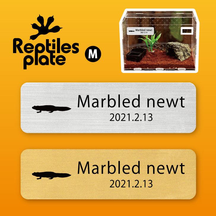 レプタイルズ プレート Mサイズ 【 マダライモリ 】ケージ 水槽 レプタイルボックス 虫かご用 銘板 名札 ネームプレート パルダリウム テラリウム アクアリウム 両生類