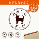 【 マラソン中 P5倍 】みました はんこ 【 チワワ スムース 】 スタンプ ゴム印 評価印 見ました 先生 プレゼント かわいい イラスト ペット グッズ ききました オーダー 名前 犬
