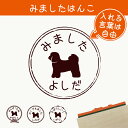 みました はんこ 【 シーズー 】 スタンプ ゴム印 評価印 見ました 先生 プレゼント かわいい イラスト ペット グッズ ききました オーダー 名前 犬