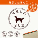 【 マラソン中 P5倍 】みました はんこ 【 アイリッシュセター 】 スタンプ ゴム印 評価印 見ました 先生 プレゼント かわいい イラスト ペット グッズ ききました オーダー 名前 犬