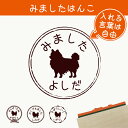 みました はんこ 【 チワワ ロングコート 】 スタンプ ゴム印 評価印 見ました 先生 プレゼント かわいい イラスト ペット グッズ ききました オーダー ...