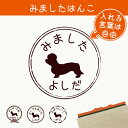 【 マラソン中 P5倍 】みました はんこ 【 ダンディディンモントテリア 】 スタンプ ゴム印 評価印 見ました 先生 プレゼント かわいい イラスト ペット グッズ ききました オーダー 名前 犬
