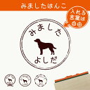 【 マラソン中 P5倍 】みました はんこ 【 チェサピークベイレトリーバー 】 スタンプ ゴム印 評価印 見ました 先生 プレゼント かわいい イラスト ペット グッズ ききました オーダー 名前 犬