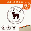【 マラソン中 P5倍 】みました はんこ 【 ベルジアングリフォン 】 スタンプ ゴム印 評価印 見ました 先生 プレゼント かわいい イラスト ペット グッズ ききました オーダー 名前 犬
