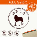 【 マラソン中 P5倍 】みました はんこ 【 ラフコリー 】 スタンプ ゴム印 評価印 見ました 先生 プレゼント かわいい イラスト ペット グッズ ききました オーダー 名前 犬