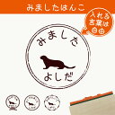 【 マラソン中 P5倍 】みました はんこ 【 コツメカワウソ 】 スタンプ ゴム印 評価印 見ました 先生 プレゼント かわいい イラスト ペット グッズ ききました オーダー 名前 小動物
