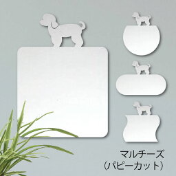 【 ギフトに 】 鏡【 マルチーズ パピーカット 】 Mサイズ ミラー かわいい ペット 犬 グッズ プレゼント オシャレ ギフト 人気 アクリル 壁掛け 軽量 頑丈 メイクアップ 化粧台用 玄関