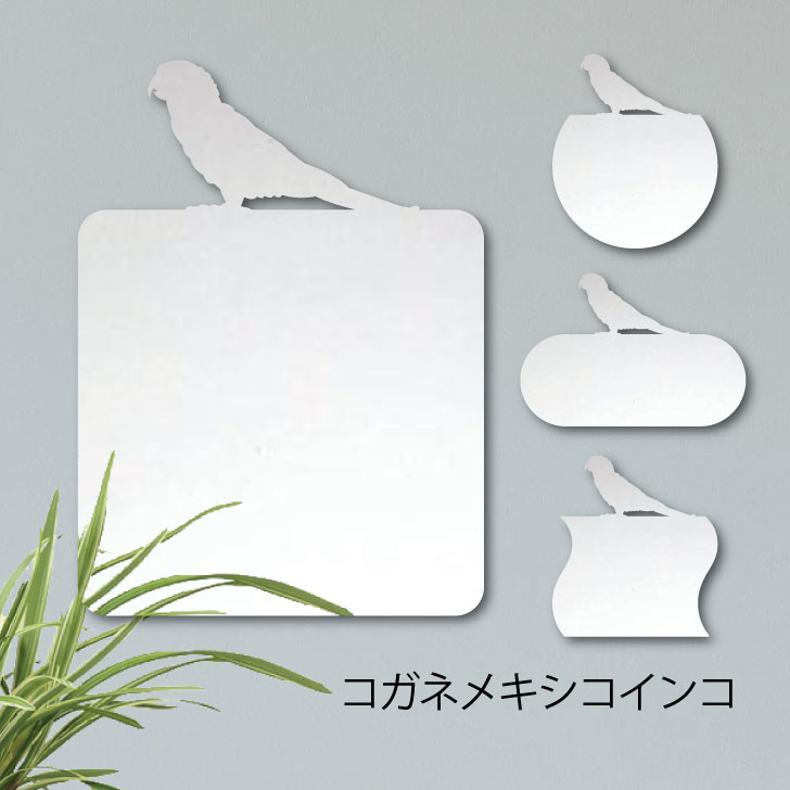 【クーポン対象！】 鏡【 コガネメキシコインコ 】 Mサイズ ミラー かわいい ペット 鳥 グッズ プレゼント オシャレ 映え 映える ギフト 人気 アクリル 壁掛け 軽量 頑丈 シンプル メイクアップ 取り付け簡単 化粧台用 玄関