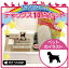 【スーパーセール★Pアップ】 お名前はんこ デラックスセット 【 アーフェンピンシャー 】 お名前スタンプ 豪華10点セット 入学 入園 準備 名前つけ オムツ かわいい ペット お手軽 かわいい おなまえ 小学校 保育園 プレゼント グッズ 犬 3,980円