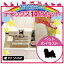 【スーパーセール★Pアップ】 お名前はんこ デラックスセット 【 ハバニーズ 】 お名前スタンプ 豪華10点セット 入学 入園 準備 名前つけ オムツ かわいい ペット お手軽 かわいい おなまえ 小学校 保育園 プレゼント グッズ 犬 3,980円