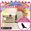 【ギフトに】 お名前はんこ デラックスセット 【 ズグロシロハラインコ 】 お名前スタンプ 豪華10点セット 入学 入園 準備 名前つけ オムツ かわいい ペット お手軽 かわいい おなまえ 小学校 保育園 プレゼント グッズ 鳥