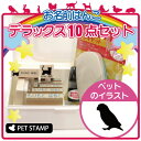 【ギフトに】 お名前はんこ デラックスセット 【 ボタンインコ 】 お名前スタンプ 豪華10点セット 入学 入園 準備 名前つけ オムツ かわいい ペット お手軽 かわいい おなまえ 小学校 保育園 プレゼント グッズ 鳥