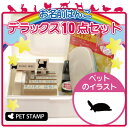 【ギフトに】 お名前はんこ デラックスセット 【 クサガメ 】 お名前スタンプ 豪華10点セット 入学 入園 準備 名前つけ オムツ かわいい ペット お手軽 かわいい おなまえ 小学校 保育園 プレゼント グッズ カメ