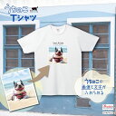 【送料無料】 うちのこ Tシャツ 犬 猫 ギフト グッズ ペット mo-u-ra プリント 半袖 ユニセックス 子供 家族 ファミリー お名前 写真 画像 名入れ オーダーメイド プレゼント シンプル かわいい オシャレ 小動物 猛禽類 鳥 爬虫類 両生類 動物 いぬ ねこ