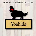 表札【キャバリアキングチャールズスパニエル】 LL ネームプレート ペット 犬 グッズ マンション アパート 戸建て ギフト 宅配ボックス ポスト